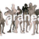 Favicon of Grupo Aranea